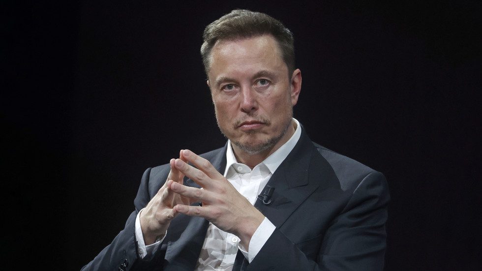 Musk outlines plans for Trump government — RT World News
