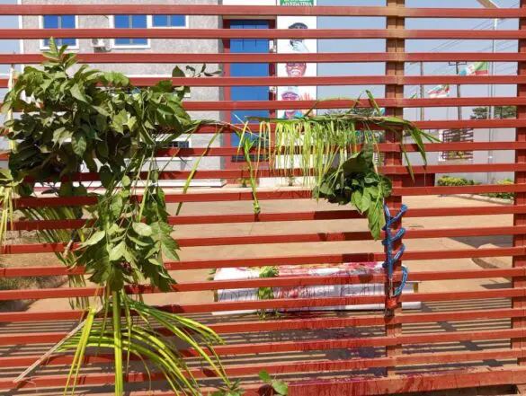 Ondo APC youths demand chairman’s removal, dump coffin at party secretariat 1001354938