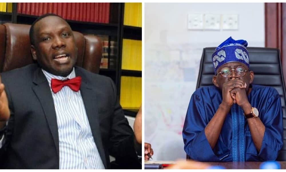 Allegations by Niger Republic attempt to incite northerners against Tinubu - Presidency