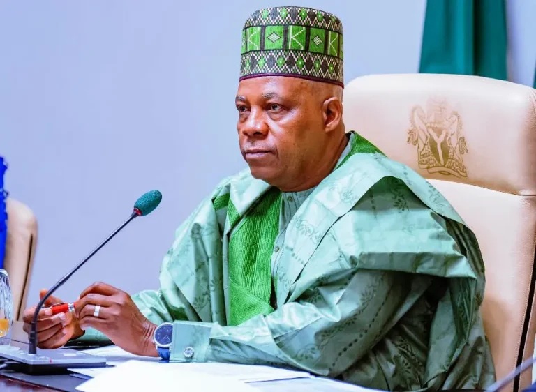 Nigeria cannot achieve meaningful development without power sector reforms –VP Shettima
