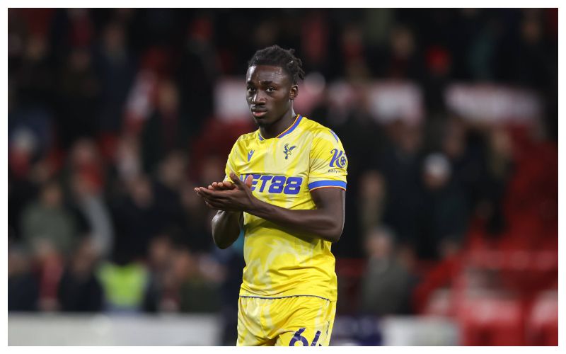 EPL: My dad is Nigerian - Crystal Palace winger, Agbinone on playing for Super Eagles