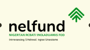 NELFUND Claims Disbursement Of N1162bn Students Loans 300x169