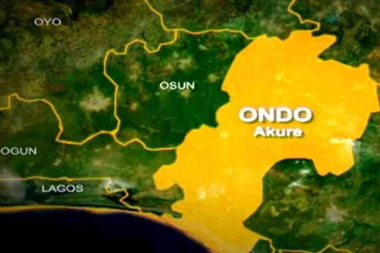 Ondo LG Poll: ODIEC chairman laments low voter turnout