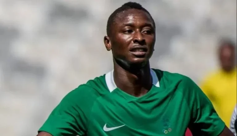 Super Eagles will shine under Eric Chelle - Sadiq