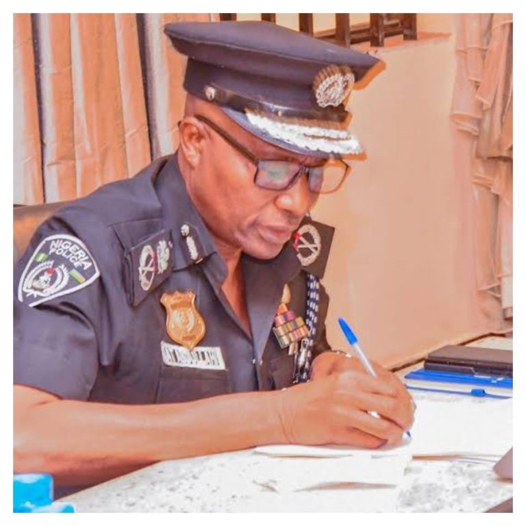 Avoid all forms of unnecessary loans, corrupt practices - Jigawa CP warns new constables