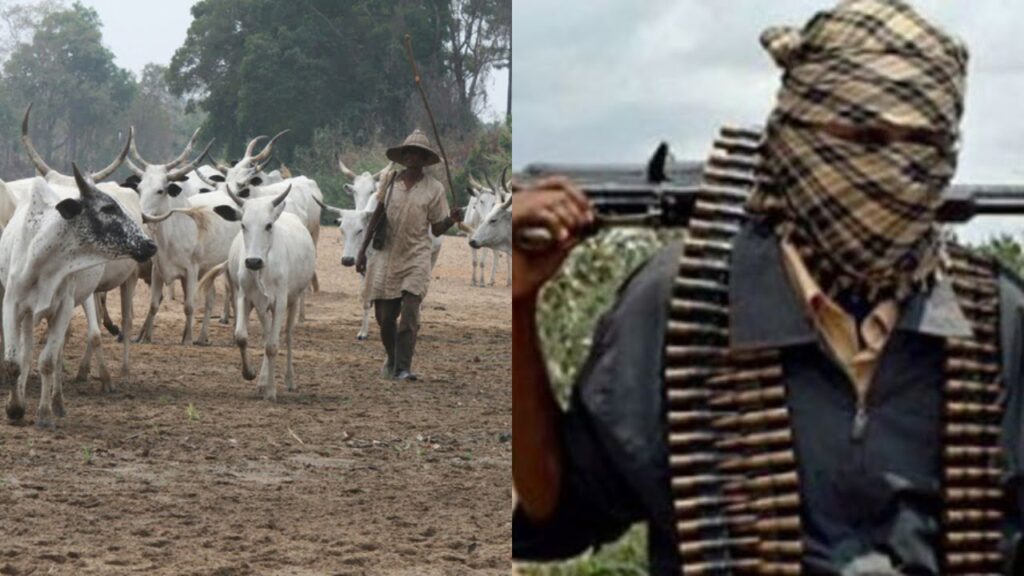 Ebonyi massacre: 'It’s time for govt decisive action against herdsmen banditry' - RULAAC