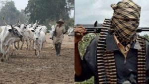 Ebonyi Massacre Its Time For Govt Decisive Action Against Herdsmen 300x169