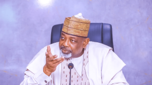 Exploitation Of Consumers Unpatriotic Unacceptable — Nigerian Government 300x167