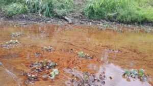 Group Alerts NOSDRA SHELL Of Oil Spill In Obololi Community 300x169