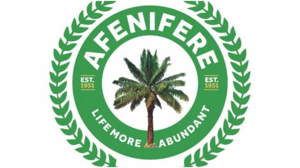 ISWAP: Afenifere hails South-West govs' move to set up security surveillance team
