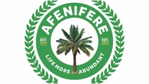 ISWAP: Afenifere hails South-West govs' move to set up security surveillance team