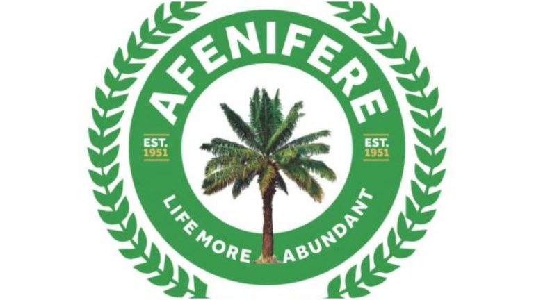 ISWAP: Afenifere hails South-West govs' move to set up security surveillance team