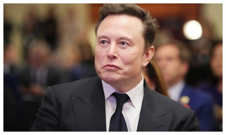I'm not interested in buying TikTok - Elon Musk