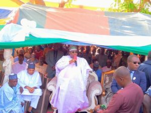 Kebbi Govt Battles Mysterious Disease Affecting Rice Farms 300x225