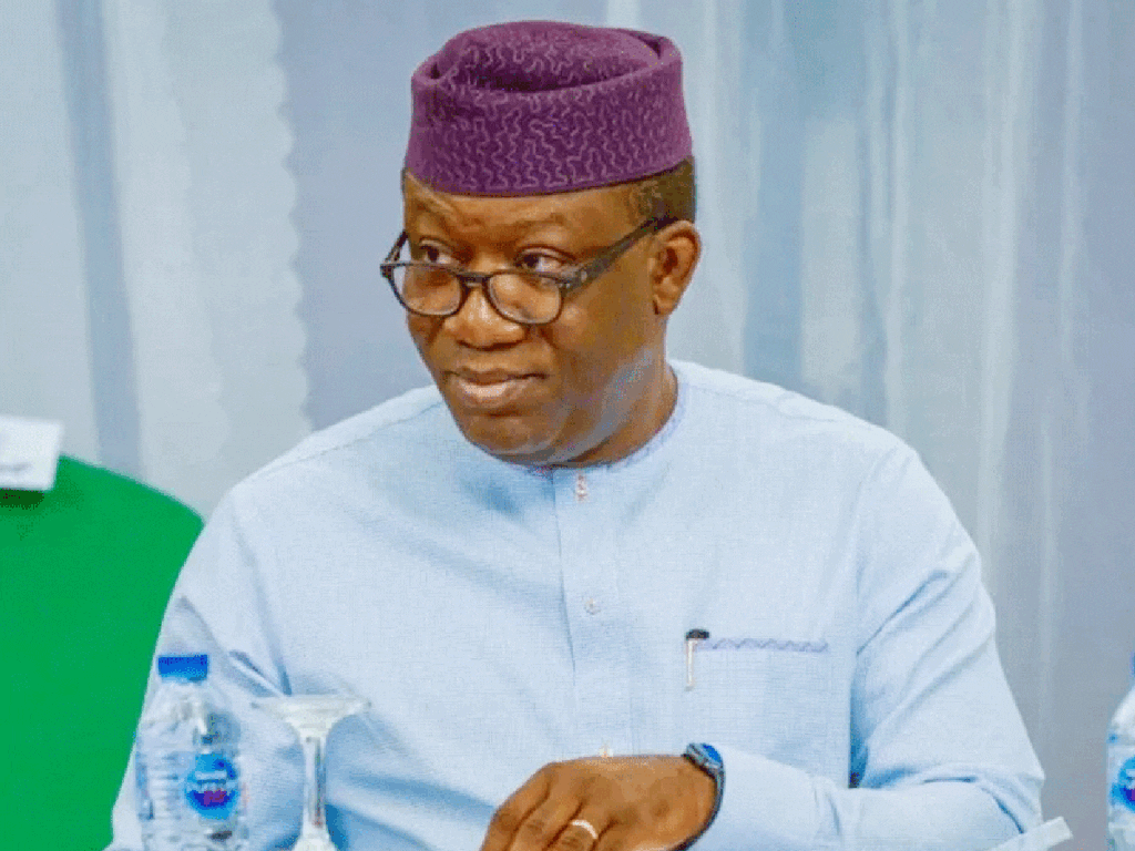 'Meaning-well not enough in leadership' - Former Ekiti Gov, Fayemi tells Tinubu