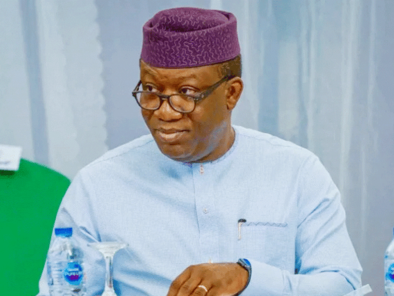 'Meaning-well not enough in leadership' - Former Ekiti Gov, Fayemi tells Tinubu