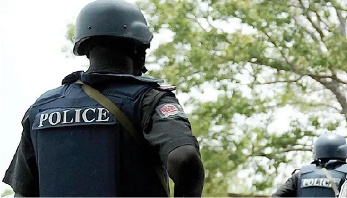 Nigerian police debunk reports of missing 3, 907 firearms