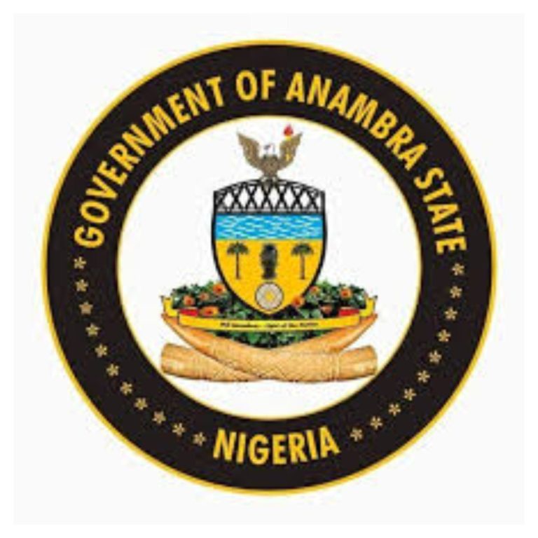No plans to arrest girls without pants, bras - Anambra govt