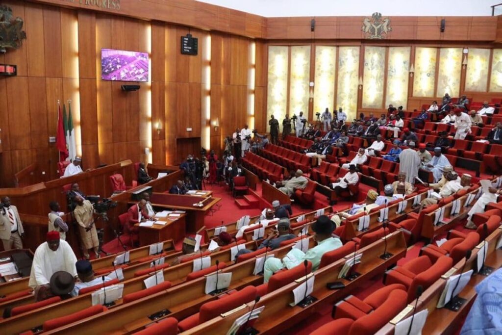 Senate moves against 'Japa' syndrome