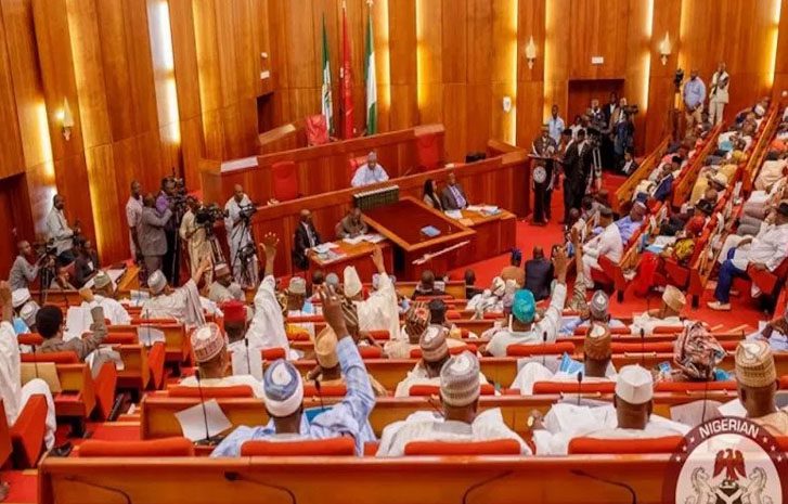 Senate to report CBN, FIRS, Customs to Tinubu for snubbing summons