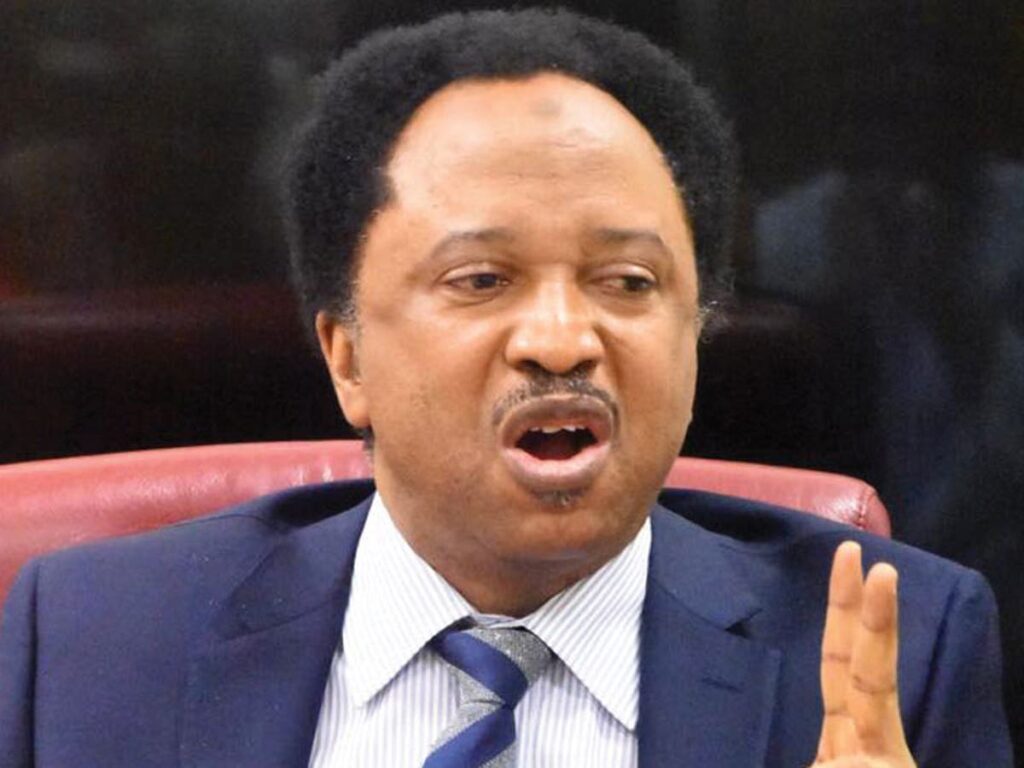 Terrorism: It's unfair - Shehu Sani condemns Nnamdi Kanu's prolonged detention, trial
