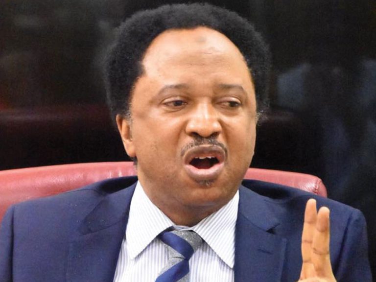 Terrorism: It's unfair - Shehu Sani condemns Nnamdi Kanu's prolonged detention, trial