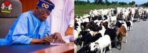 Tinubu Committed To Strengthen Livestock Industry Veterinary Profession Ajimobi 300x107