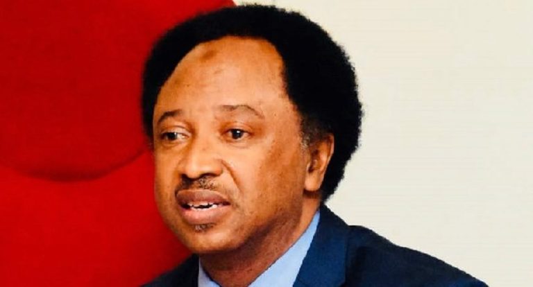 War: Ukraine will lose land to Russia, $500bn minerals to US - Shehu Sani