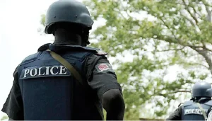Nigerian Police Debunk Reports Of Missing 3 907 Firearms 300x171