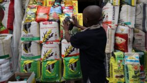 ‘Prices of Spaghetti, flour dropped’: Nigerian govt tells traders to reduce food cost