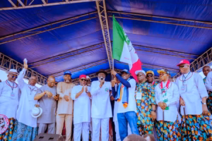 2027: PDP will sack APC NASS members in Delta Central - Chairman