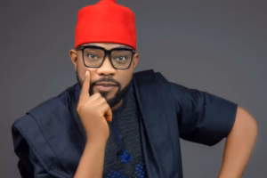 2027: Ugochinyere alleges plot by Wike group to stop PDP from fielding candidate