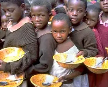 4.8 Million at risk of acute hunger in Borno, Yobe, Adamawa – WFP