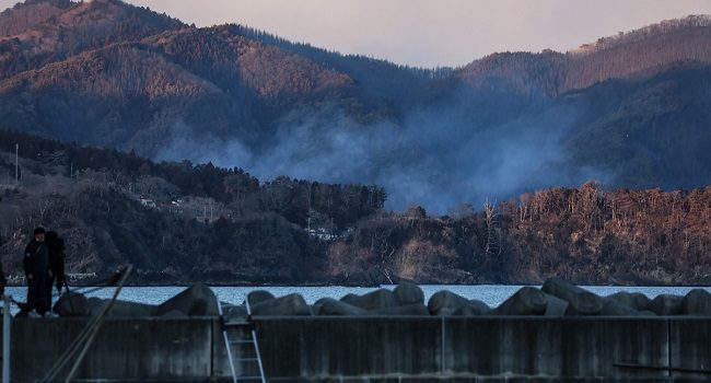 AFP__20250227__36YR66L__v1__Preview__JapanWeatherFireNature.jpg
