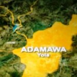 Adamawa Govt moves to connect LGAs to internet