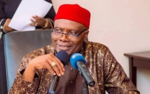Court stops Wabara's suspension as PDP BoT Chairman