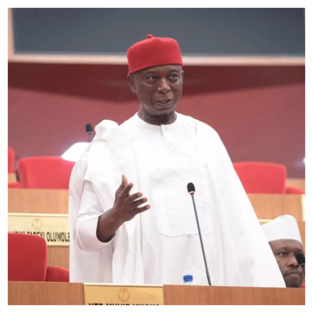 Defection to APC: PDP asks court to declare Ned Nwoko's seat vacant, order by-election