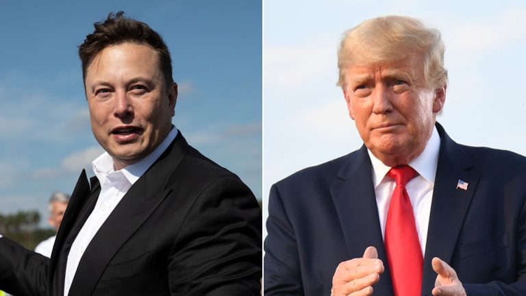 'I’ll buy Tesla to show support for Musk' - Trump