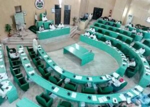 Kano Assembly Summons LGA Chairman Over Market Demolition 300x214