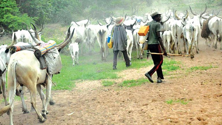 Ondo under siege as suspected herdsmen kill over 20 farmers