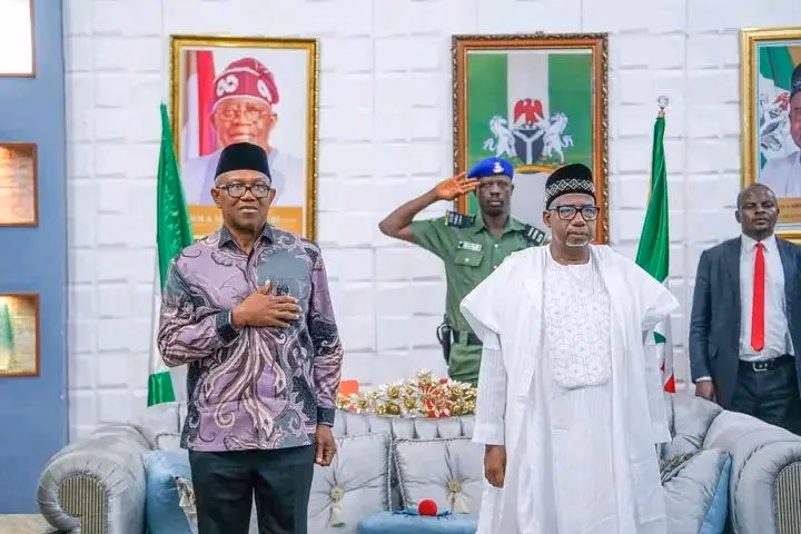 Peter Obi free to hold political meetings with any group — Ex-Ohanaeze Spokesperson Ibegbu