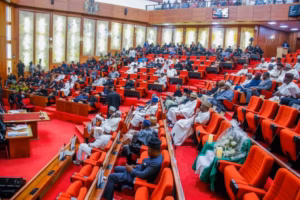 Senate orders INEC to conduct by-elections for Anambra, Edo vacant seats