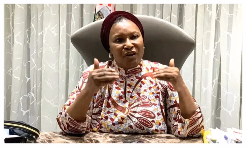 State of Emergency: Voice vote unconstitutional - Senator Ireti Kingibe