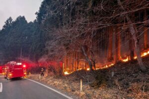 Thousands Evacuated As Japan Battles Largest Forest Fire In Decades 300x200