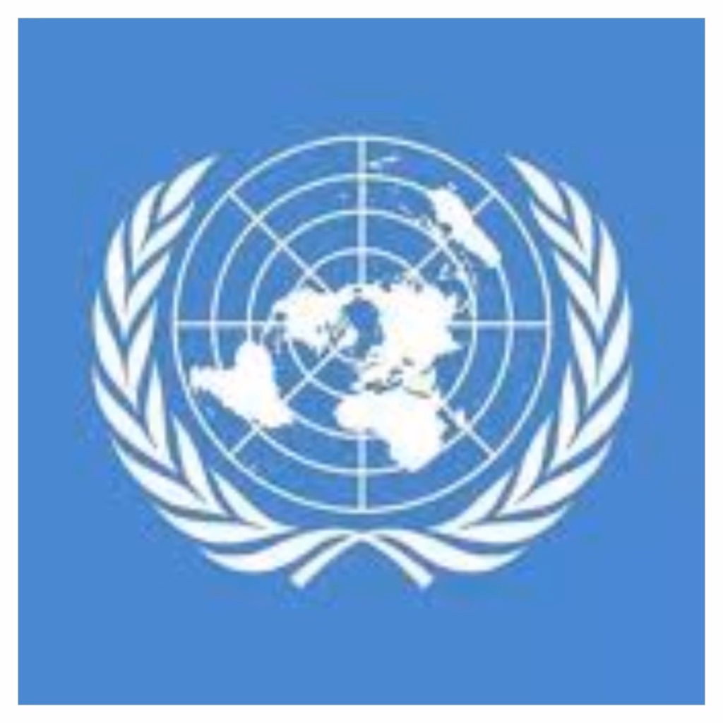 UN reacts to mosque attack, killing of 44 worshippers in Niger