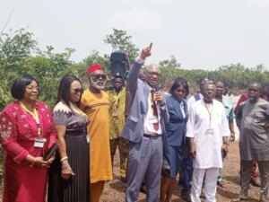 VC Begs Federal Government To Lift Embargo On Employment In 300x225