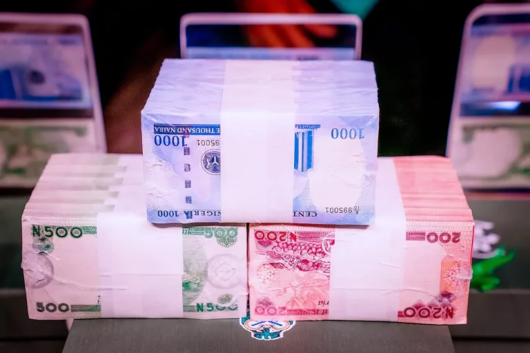 Stop abusing Naira - ADC tells Tinubu