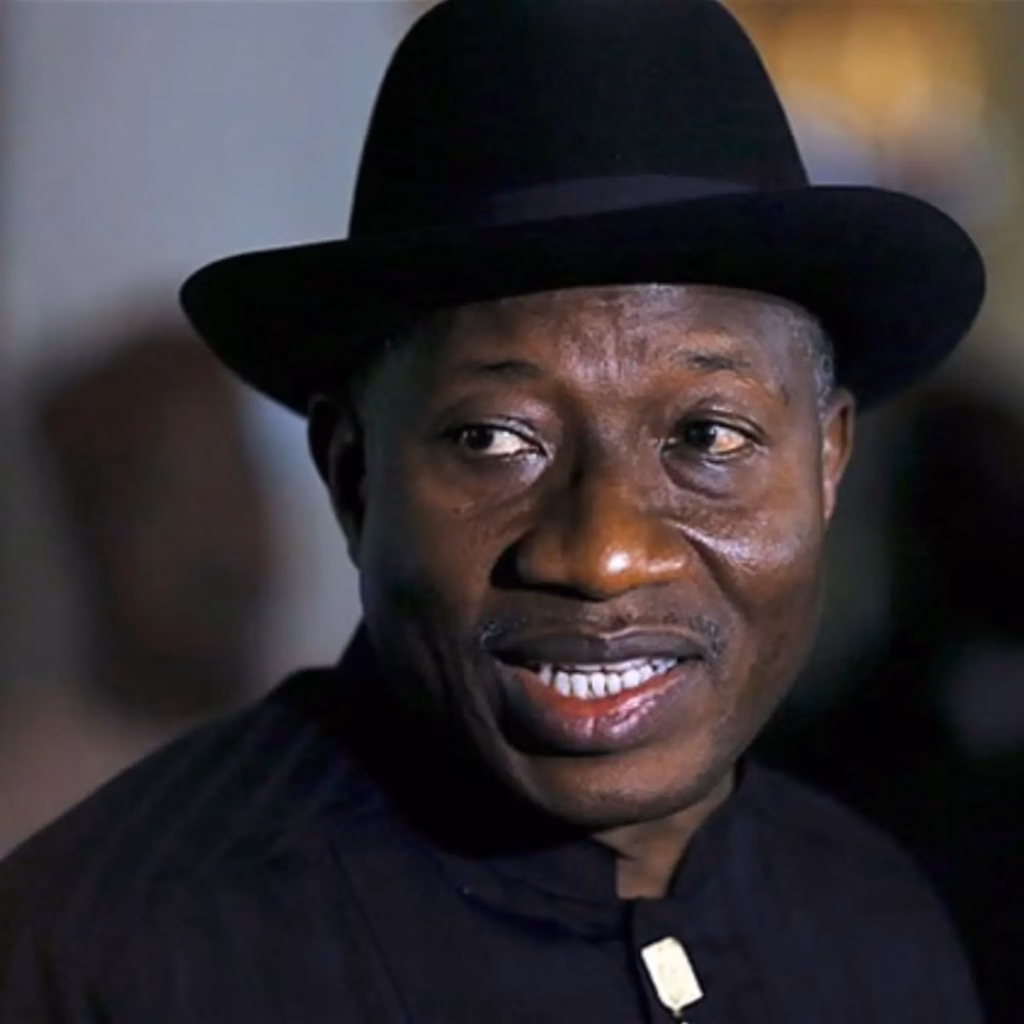 2027: Consider this call - Ex-Buhari campaigner urges Jonathan to contest