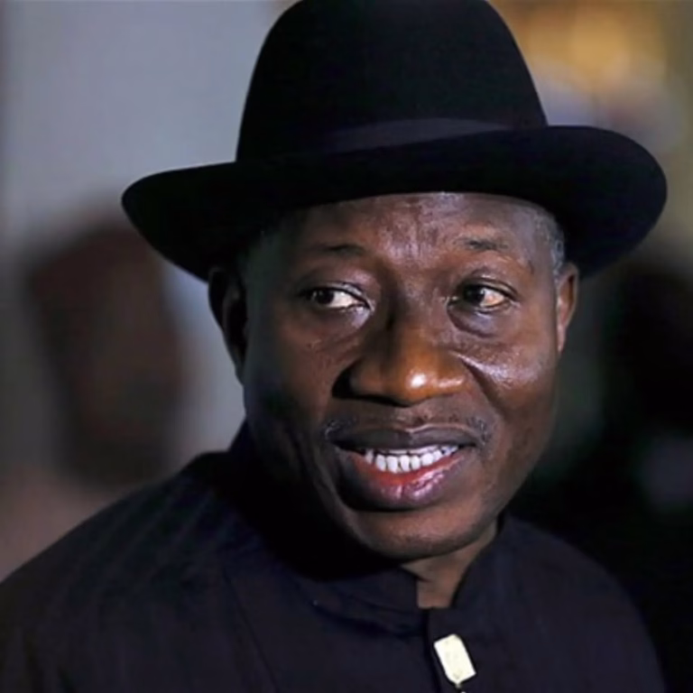 2027: Consider this call - Ex-Buhari campaigner urges Jonathan to contest