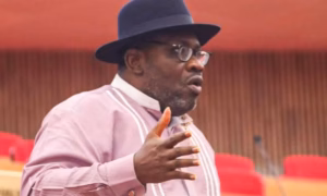 Benue/Plateau killings: Open grazing must end - Ex-Bayelsa gov, Dickson